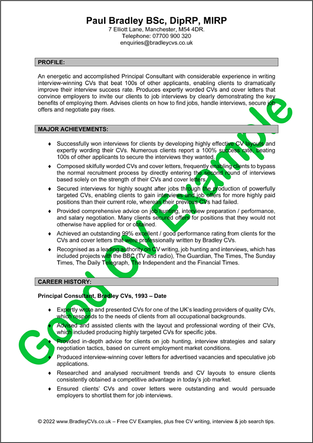 Managing Director CV Example